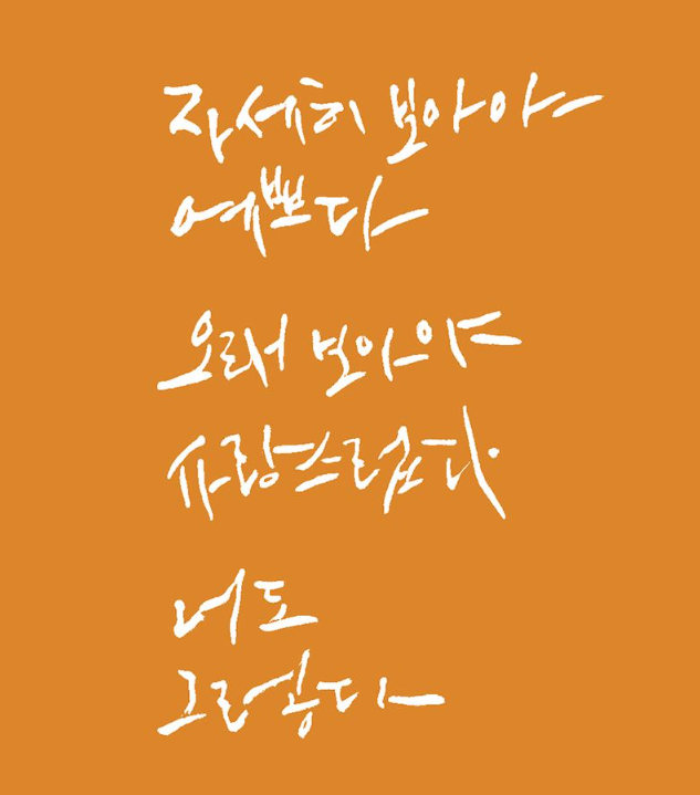 캘리그라피 도서