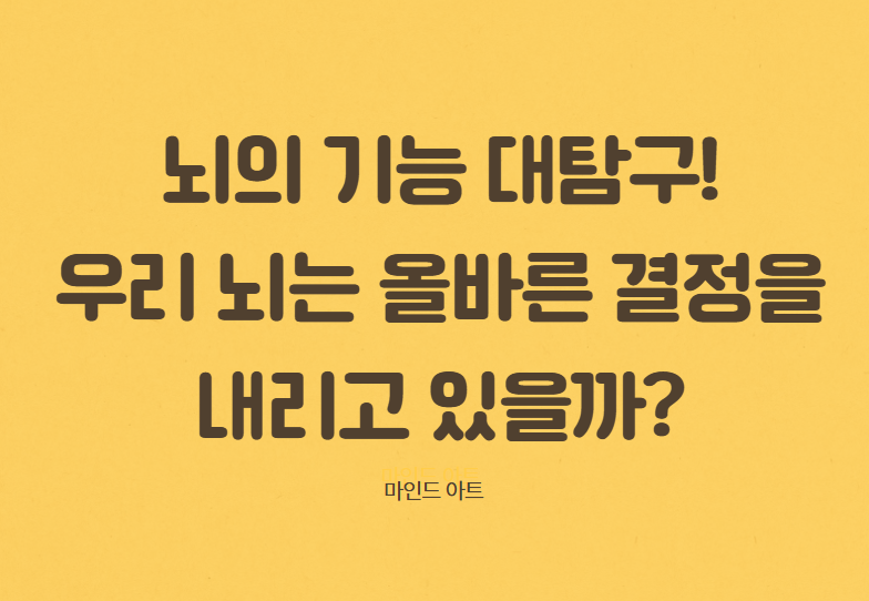 뇌의 기능