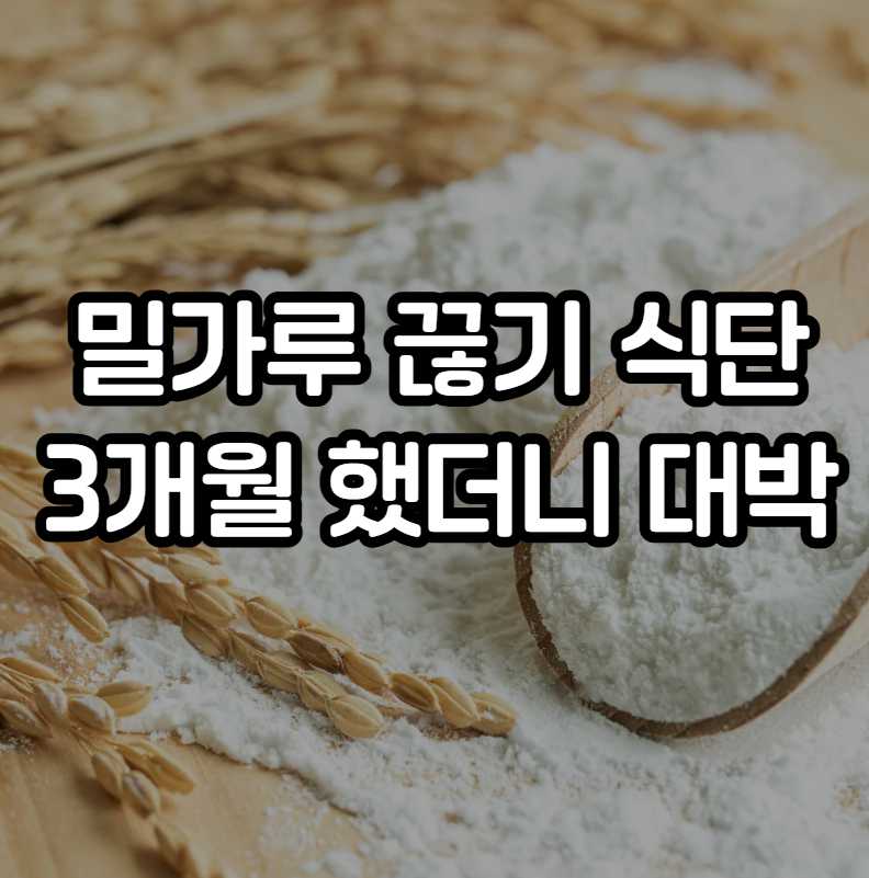 밀가루 끊기 식단