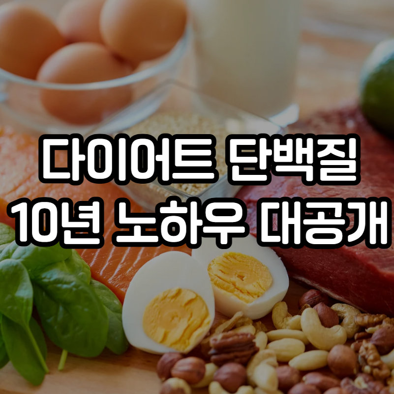 다이어트 단백질