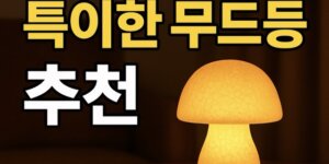 특이한 무드등
