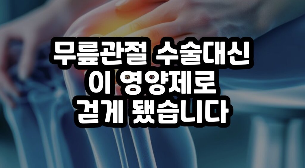 무릎 관절 영양제