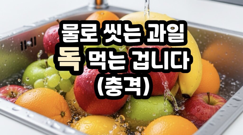과일세척제