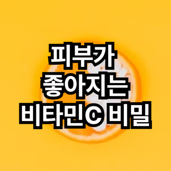비타민C 피부
