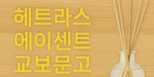 헤트라스 디퓨저