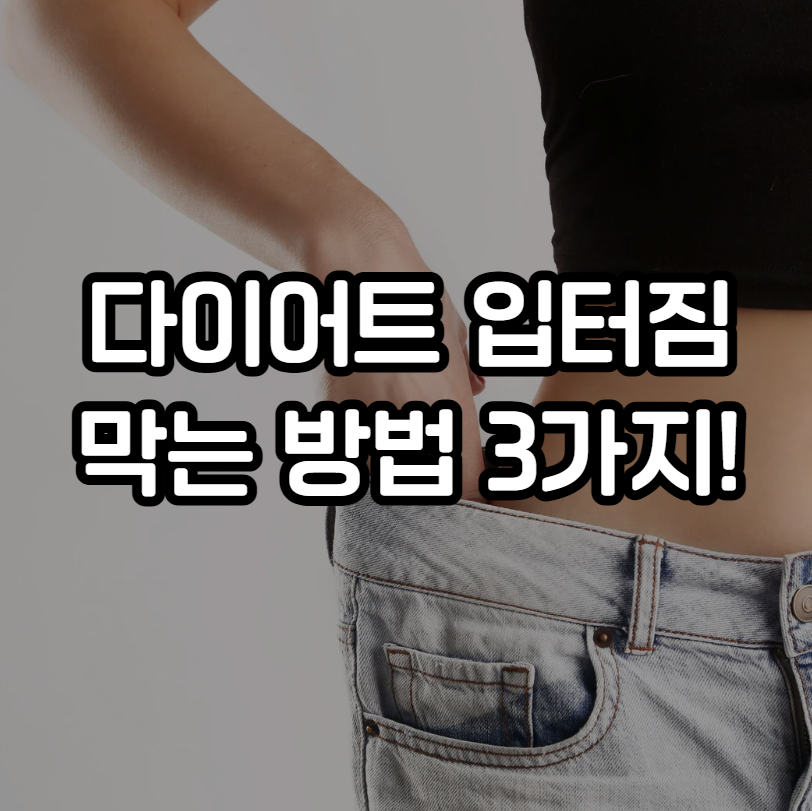 다이어트 입터짐