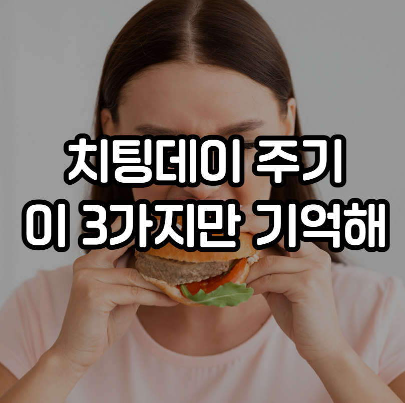 치팅데이 주기