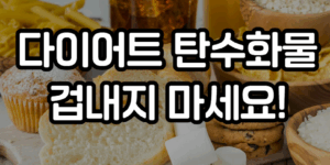 다이어트 탄수화물 섭취량