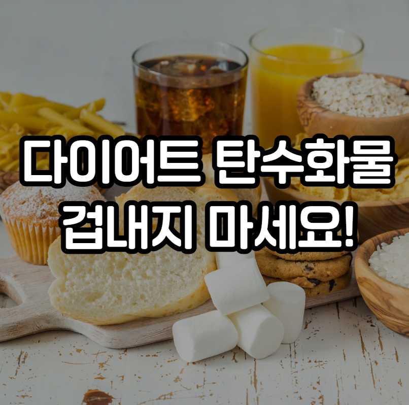 다이어트 탄수화물 섭취량