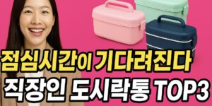 직장인 도시락통