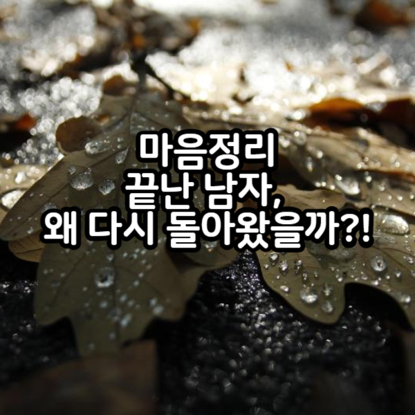 마음정리 끝난 남자