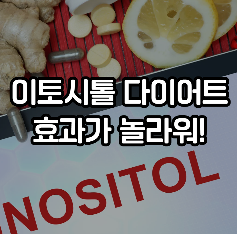 이노시톨 다이어트