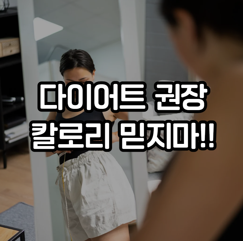 다이어트 권장 칼로리