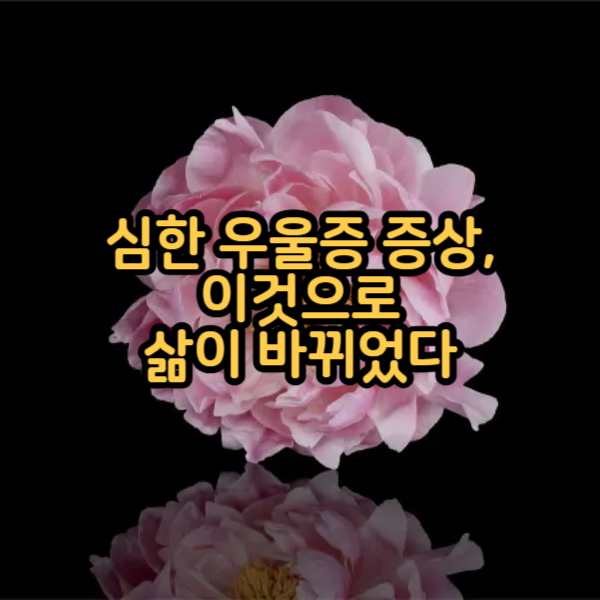 심한 우울증 증상