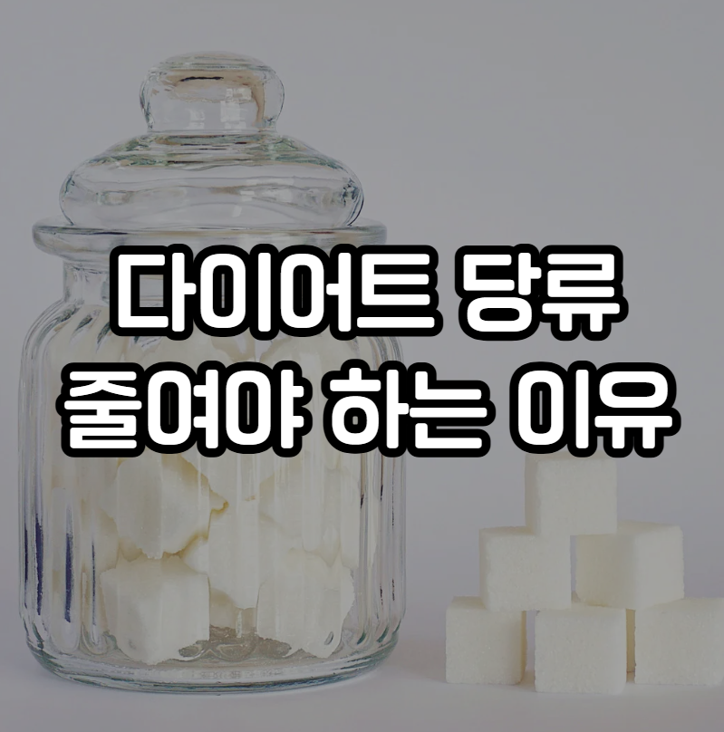 다이어트 당류