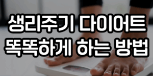 생리주기 다이어트