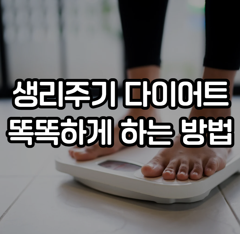 생리주기 다이어트