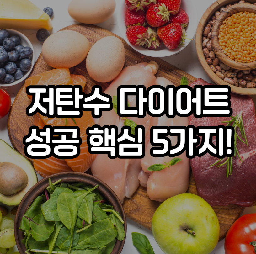 저탄수 다이어트