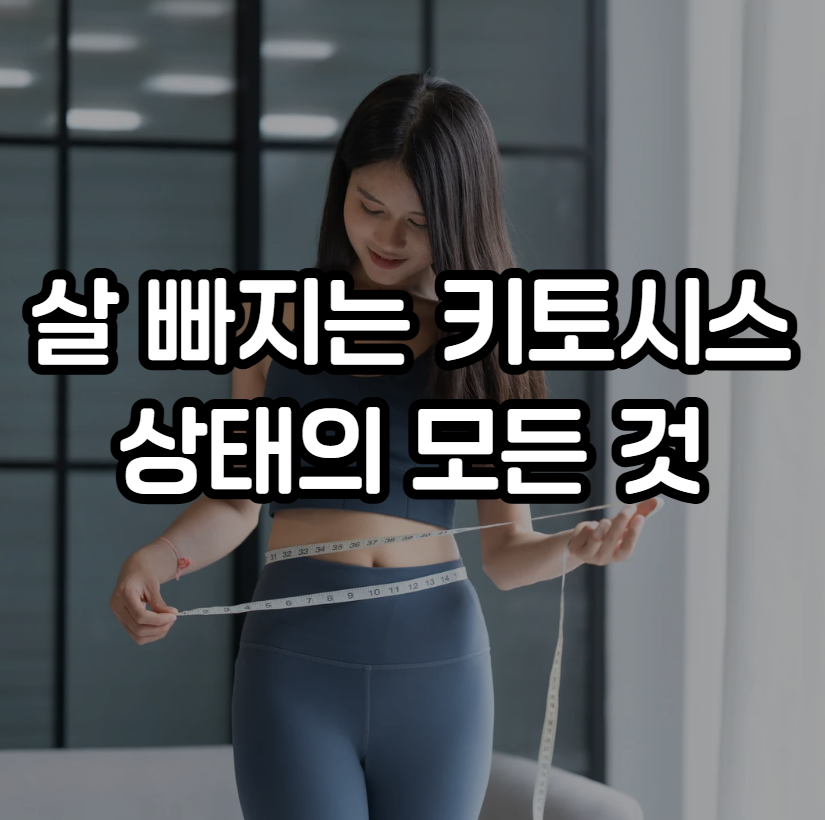 키토시스 상태
