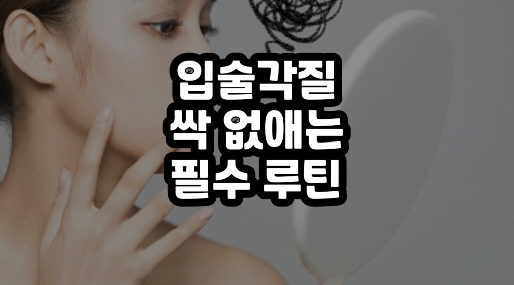 입술각질