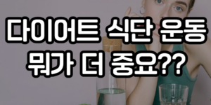 다이어트 식단 운동