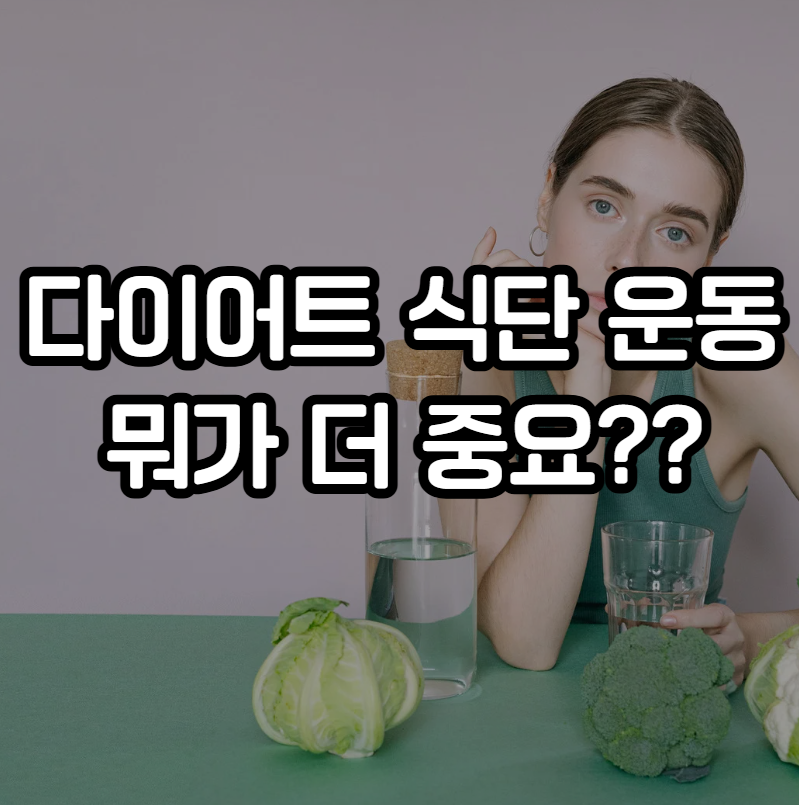 다이어트 식단 운동