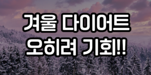 겨울 다이어트