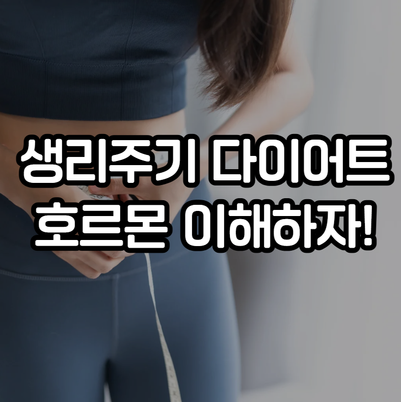 생리주기 다이어트