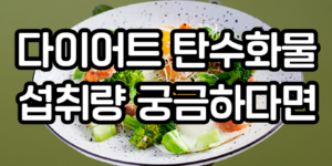 다이어트 탄수화물 섭취량