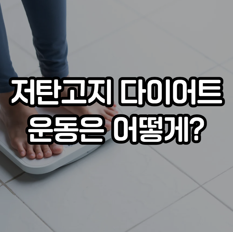저탄고지 다이어
