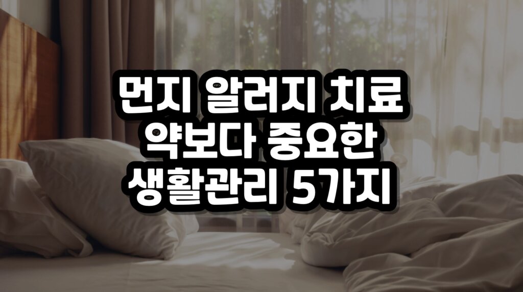 먼지 알러지 