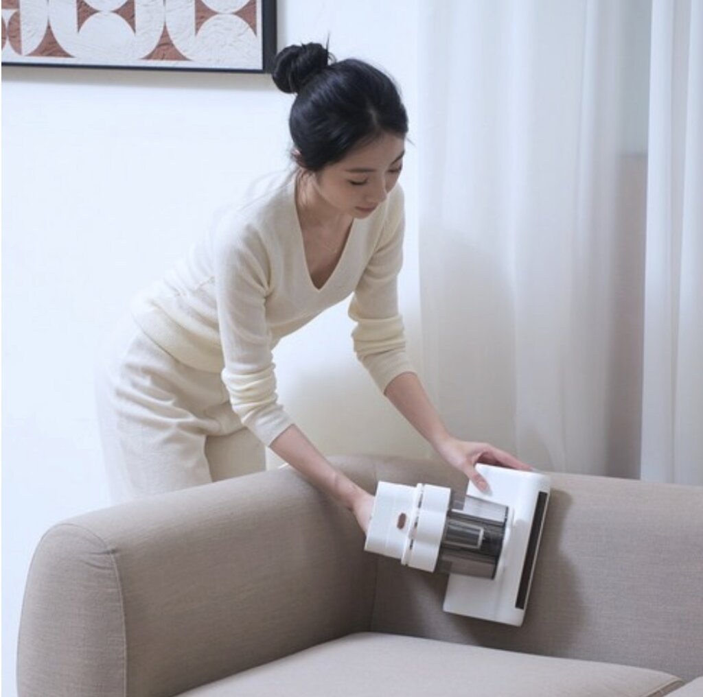 진드기 제거