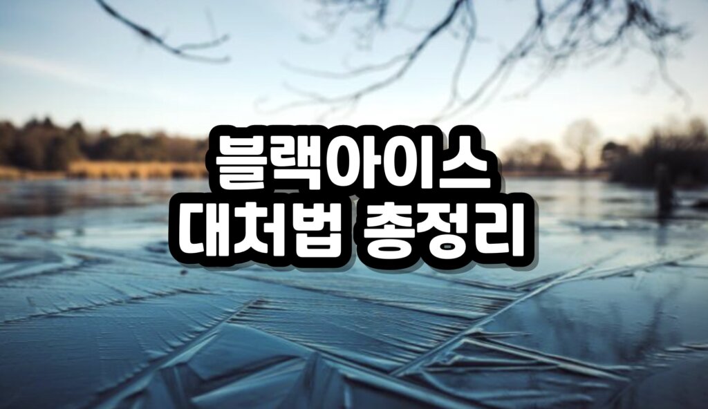 블랙아이스