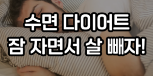 수면 다이어트