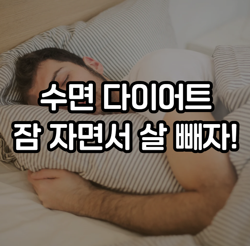 수면 다이어트