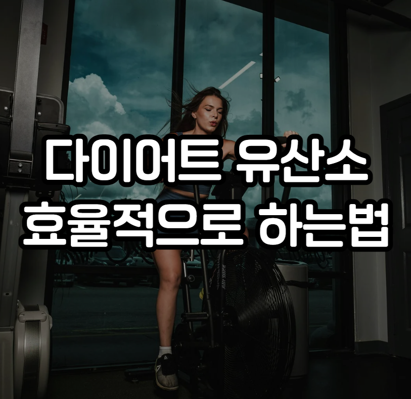 다이어트 유산소