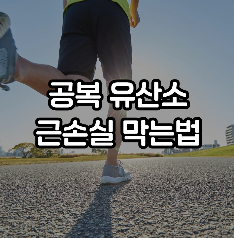공복 유산소 근손실