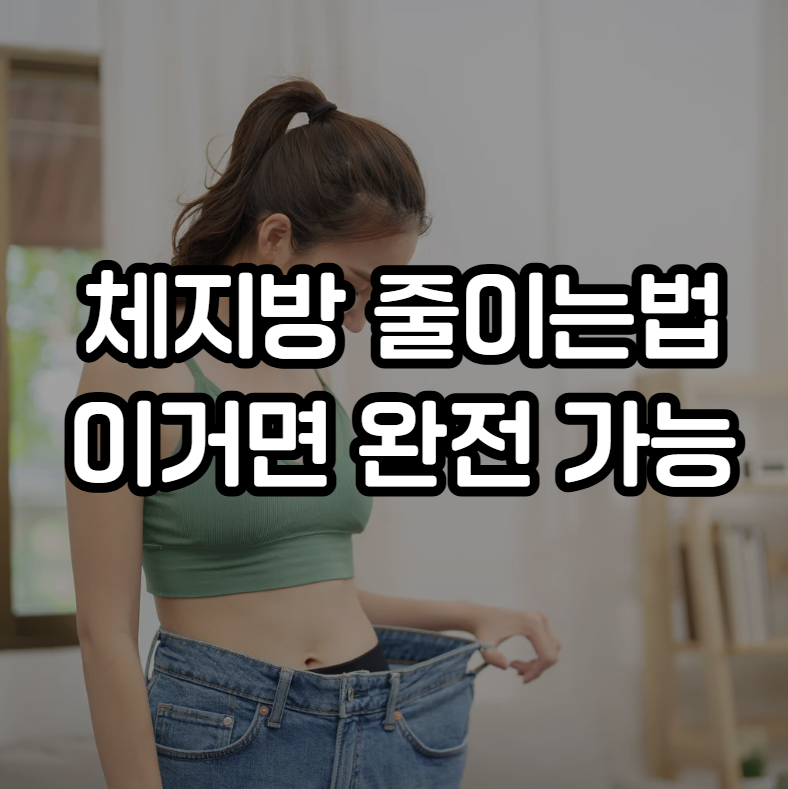 체지방 줄이는법