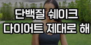 단백질 쉐이크 다이어트