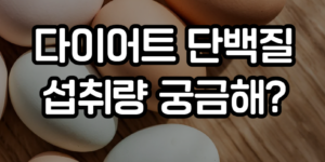 다이어트 단백질