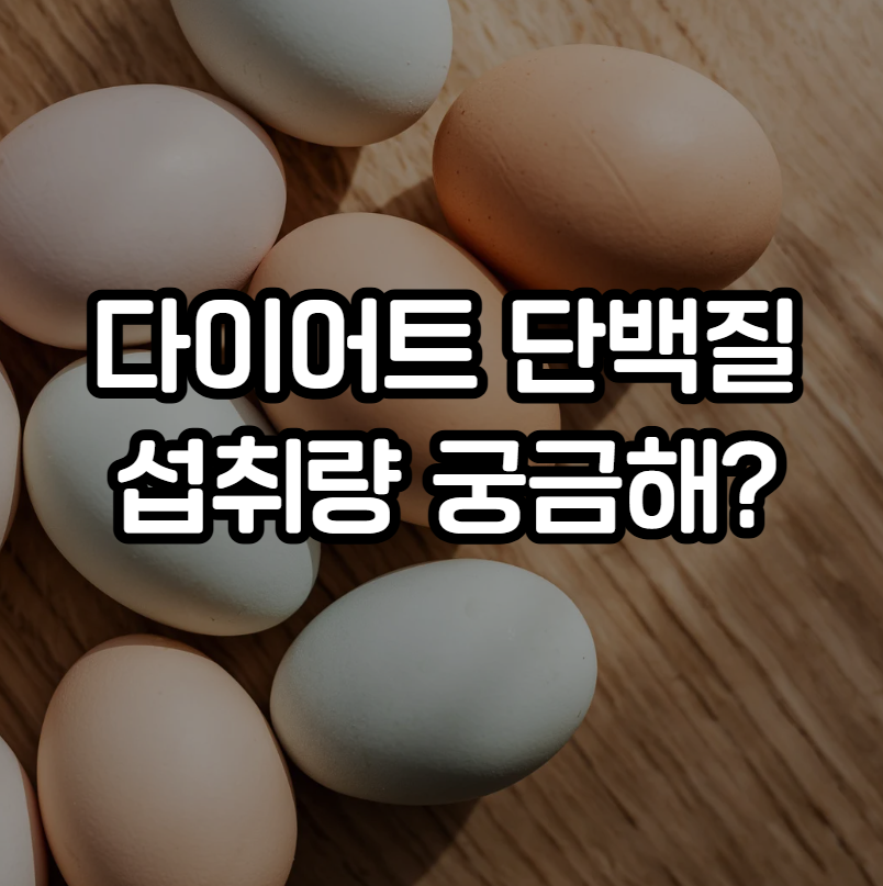 다이어트 단백질 섭취량