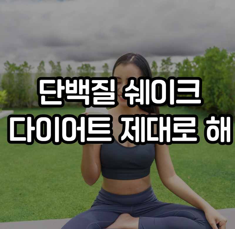 단백질 쉐이크 다이어트