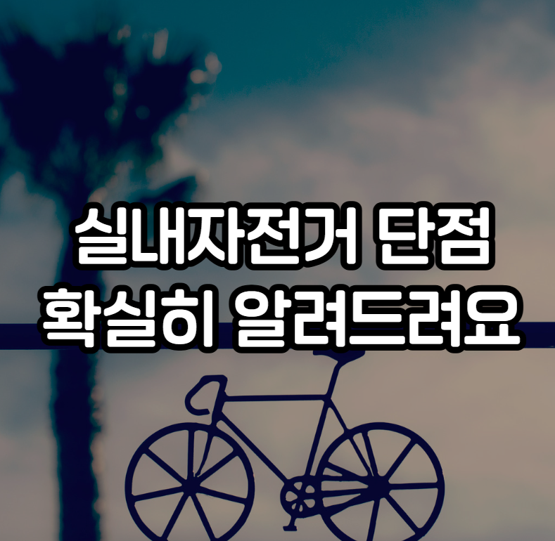 실내자전거 단점
