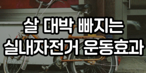 실내자전거 운동효과
