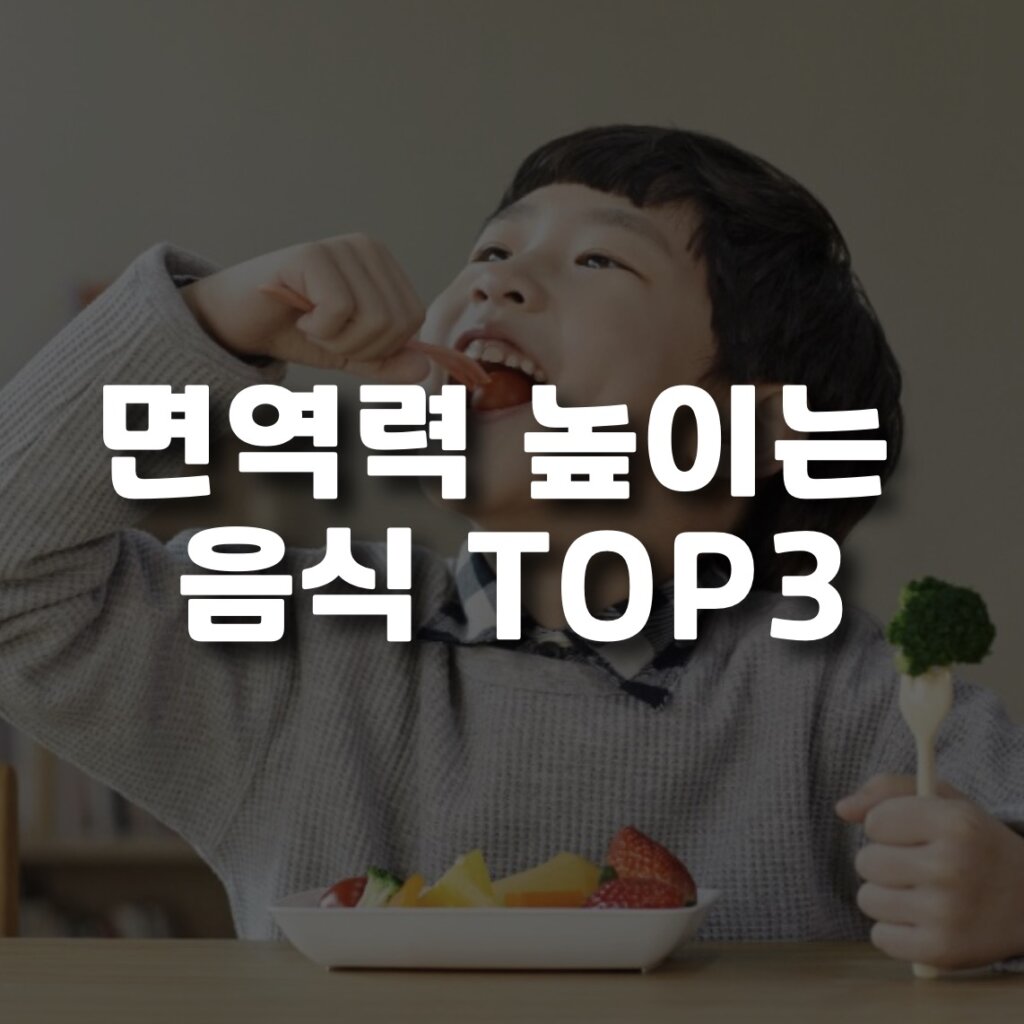 면역력 높이는 음식