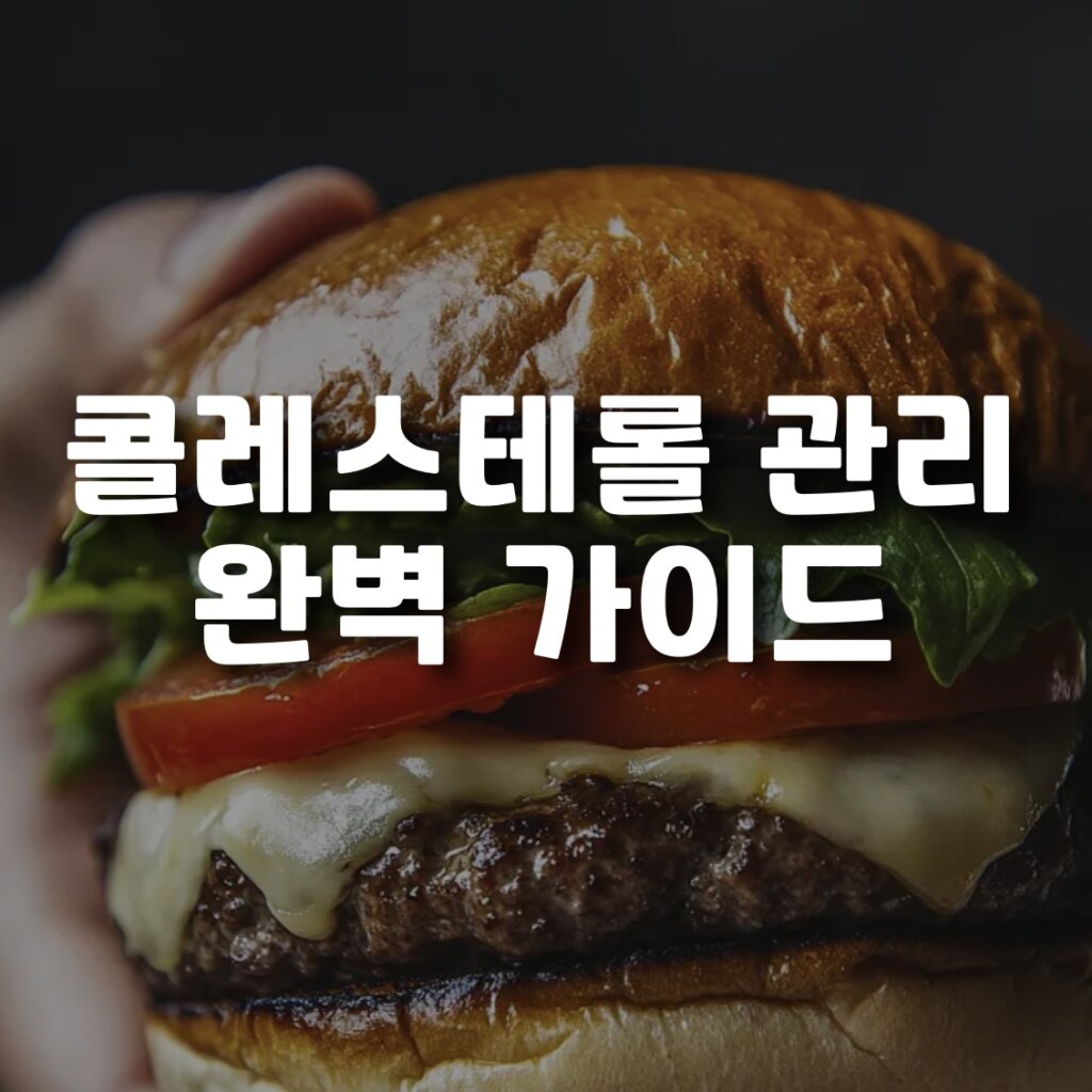 콜레스테롤 관리