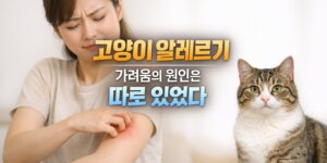 고양이 알레르기