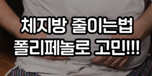 체지방 줄이는법
