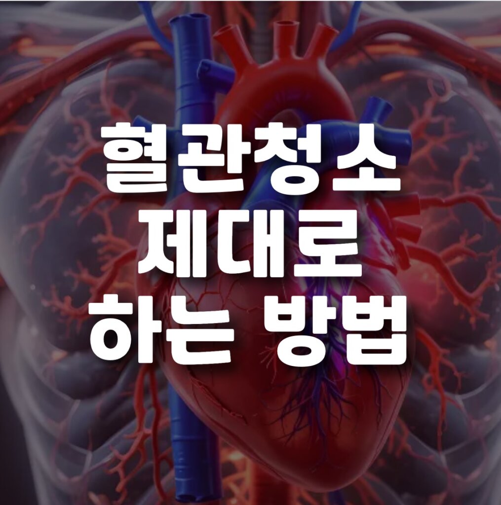 혈관청소