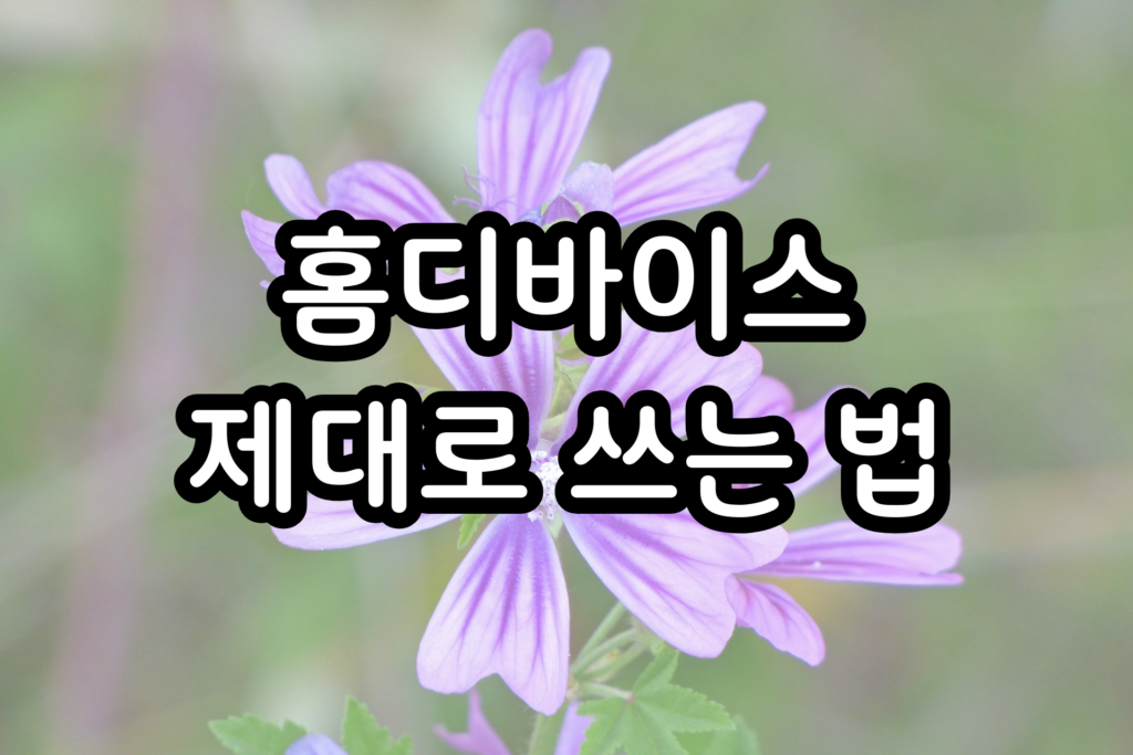 홈디바이스